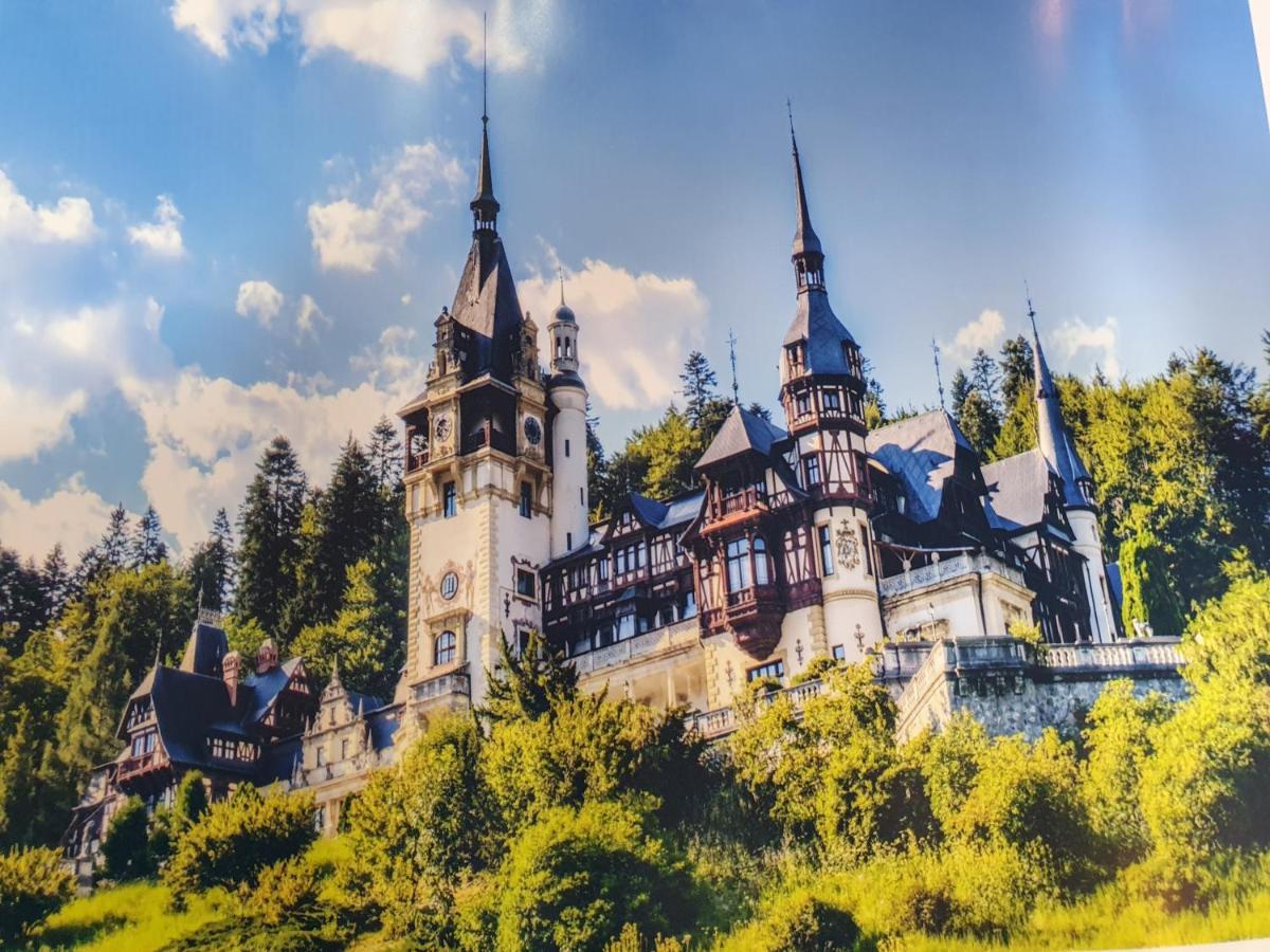 Downtown Park Loft Leilighet Sinaia Eksteriør bilde