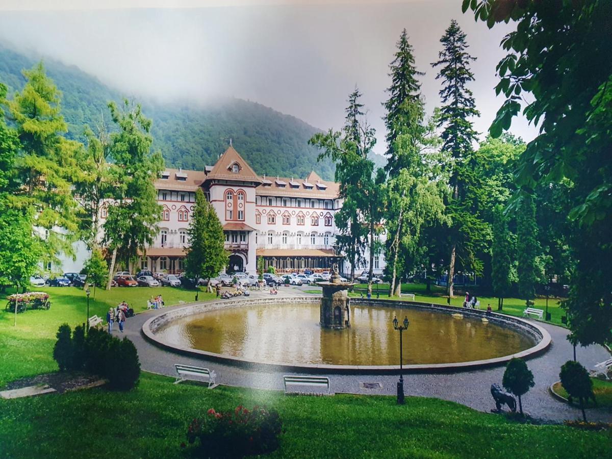 Downtown Park Loft Leilighet Sinaia Eksteriør bilde